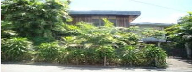 House and lots for sale: HOUSE & LOT at El Rio Vista, Bacaca Road ...