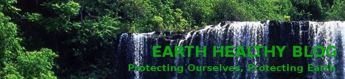 EARTH HEALTHY BLOG