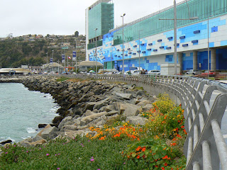 Johnson Joys: Chile---part 2: pomaire, la playa, san antonio, vina del