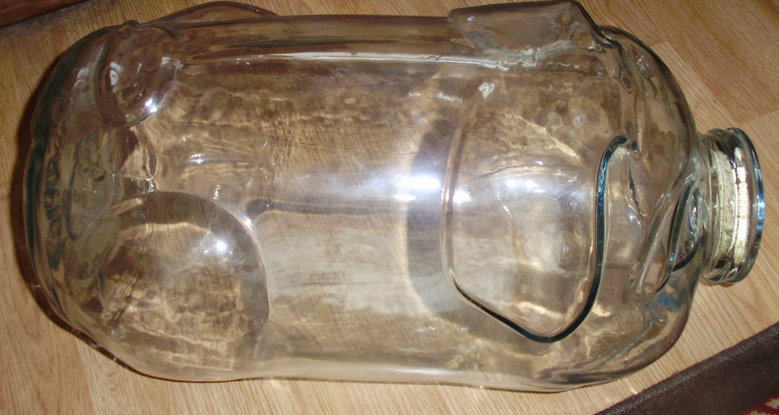 Log Cabin Antiques & Gifts Giant glass piggy jar