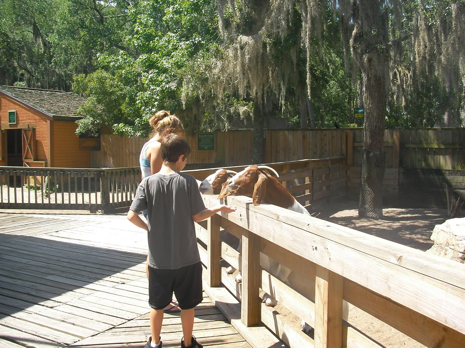 The "Unknown" Florida Central Florida Zoo & Botanical Gardens