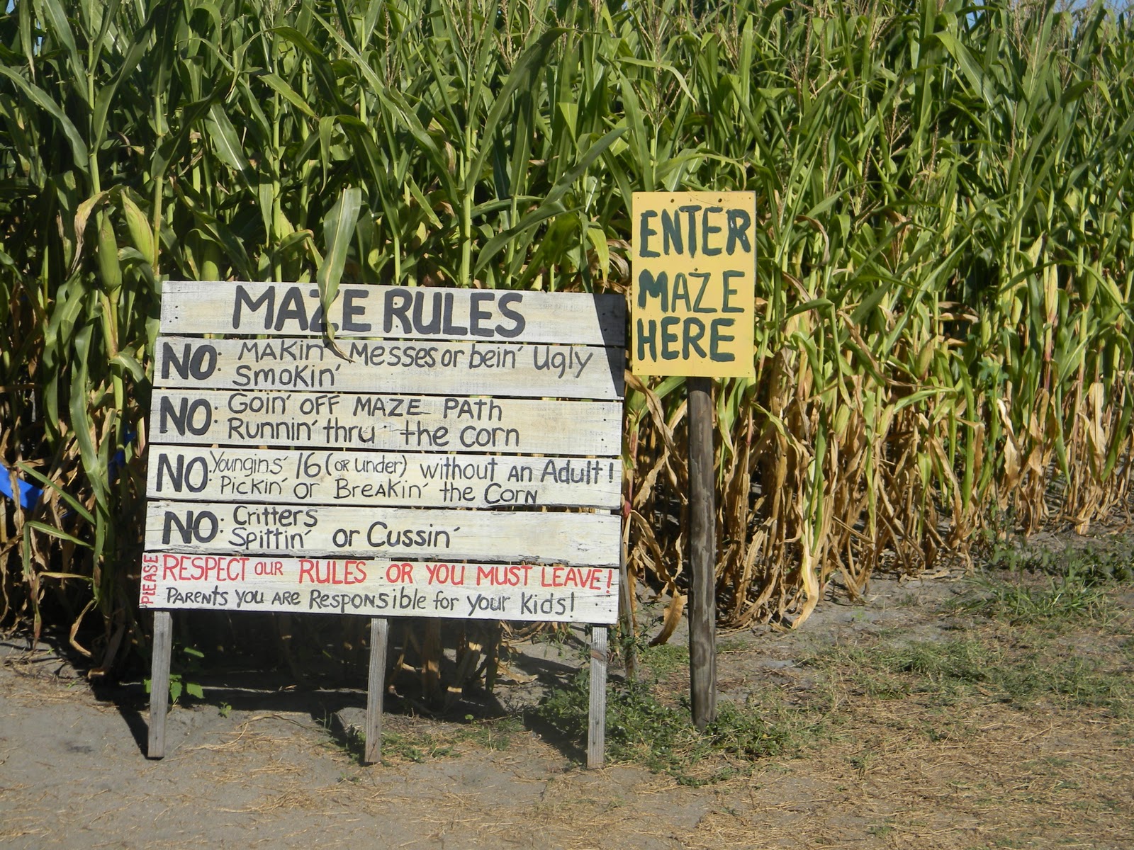 The "Unknown" Florida Zellwood Corn Maze Long & Scott's Farm