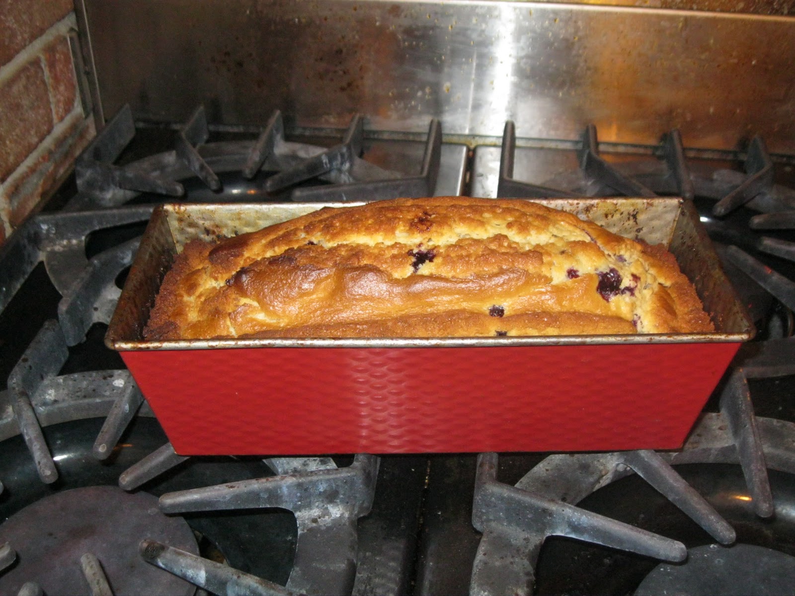 Sylvan Sanctuary Exact Heat Convection Toaster Oven Broiler