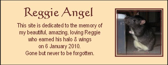 Reggie Angel