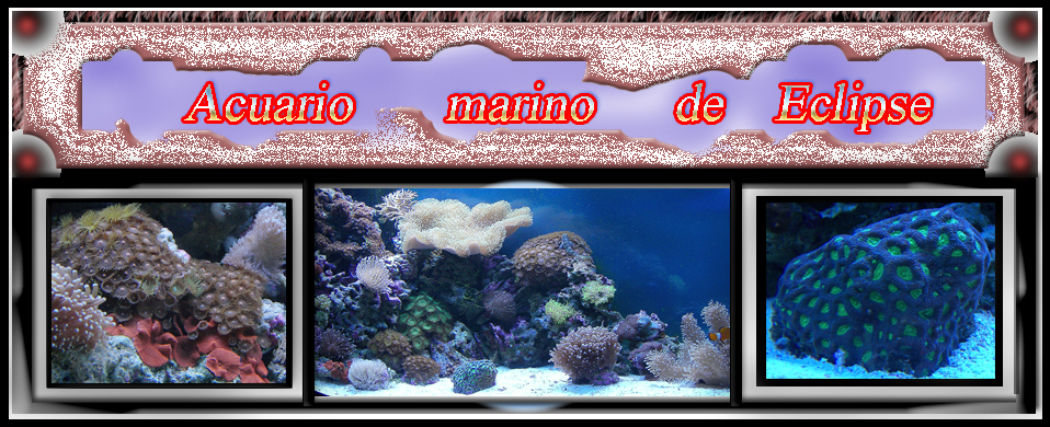 Acuario marino de Eclipse, 300 l.
