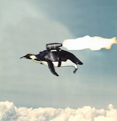 penguin flying fly penguins singapore emperor animals any why business designers trends web know spoofs 1st april don