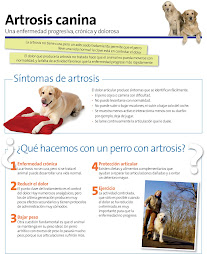 Artrosis canina