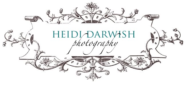 Heidi Darwish Photography