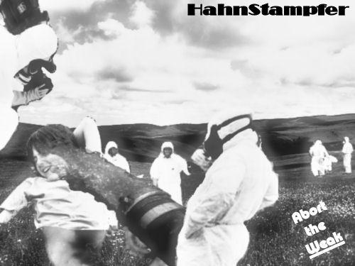 Hahn Stampfer
