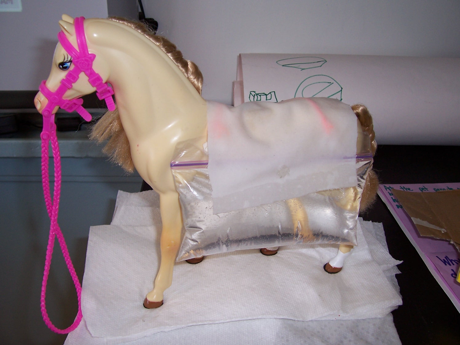 Mrs. Haley's First Grade: Fourth Grade Inventors