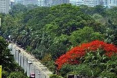 ။ Dhaka, 13 May :
