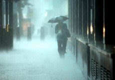 ။ Kolkata, 11 May :