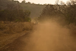 Caminante