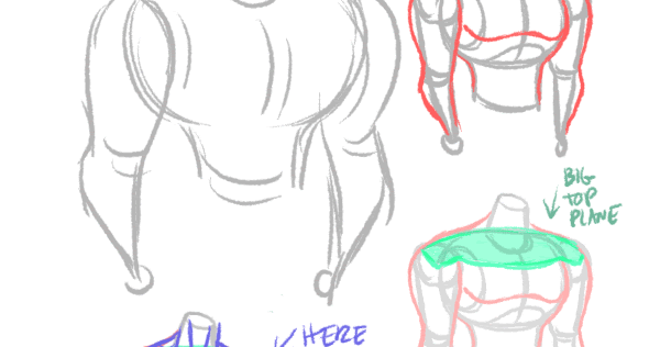 quick anatomy drawing