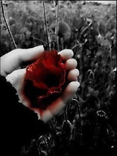 blood_rose.jpg