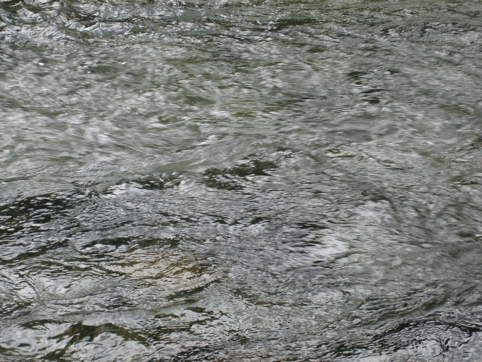 [IMG_0152.JPG]