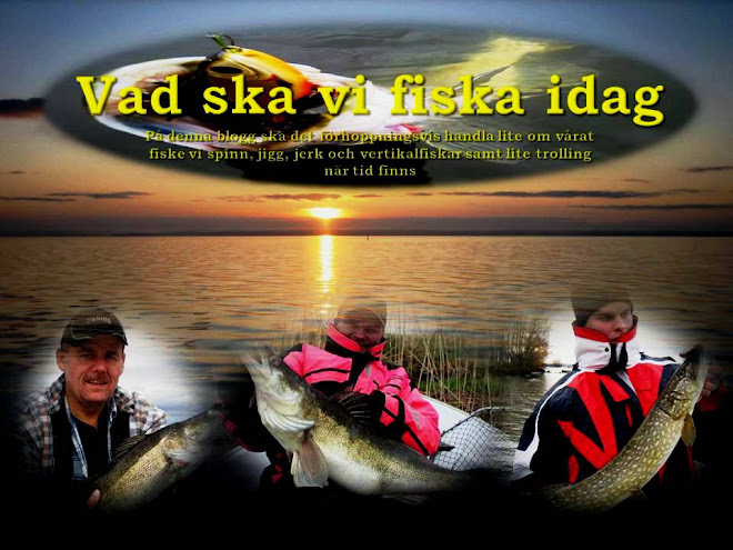 Vad ska vi fiska idag