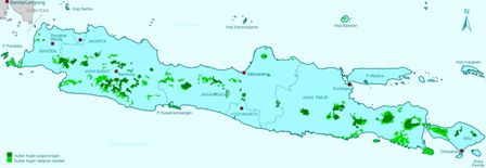 Daerah Endemik Hutan Jawa dan Bali | BIOLOGIPEDIA