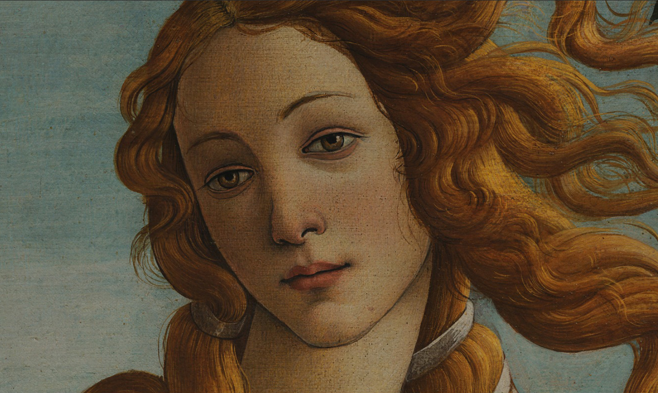 Snappy Style The Art is in the Details Google Art Project