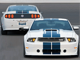 2013 Shelby GT350 Sports Car 2
