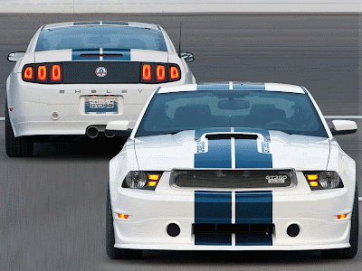 2013 Shelby GT350 Sports Car 2