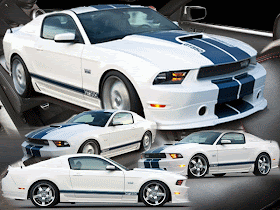 2013 Shelby GT350 Sports Car 6