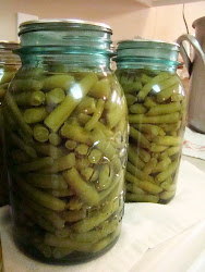 beans canning jars canned jar farm kitchen recipes fill fresh salt pressure water cooker posts vegetables into cut krista plain