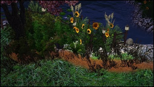 [MTS2_matrix54_1012393_Springextra.jpg]