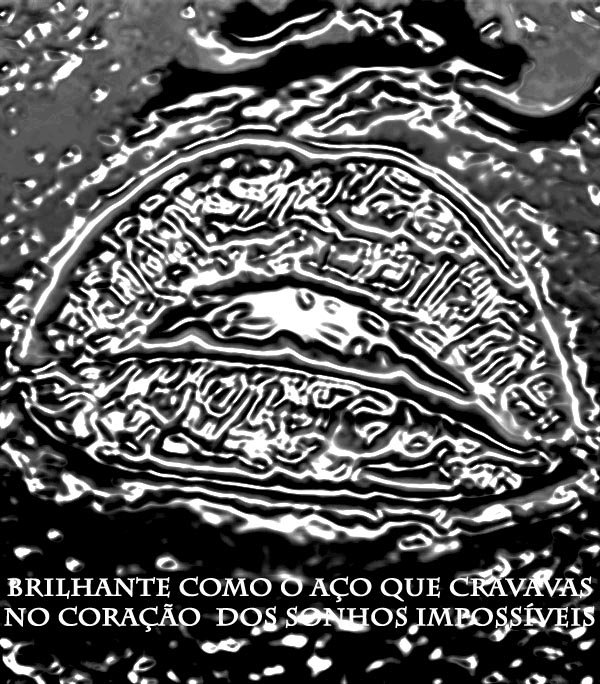 [sonhos_impossiveis+copy.jpg]