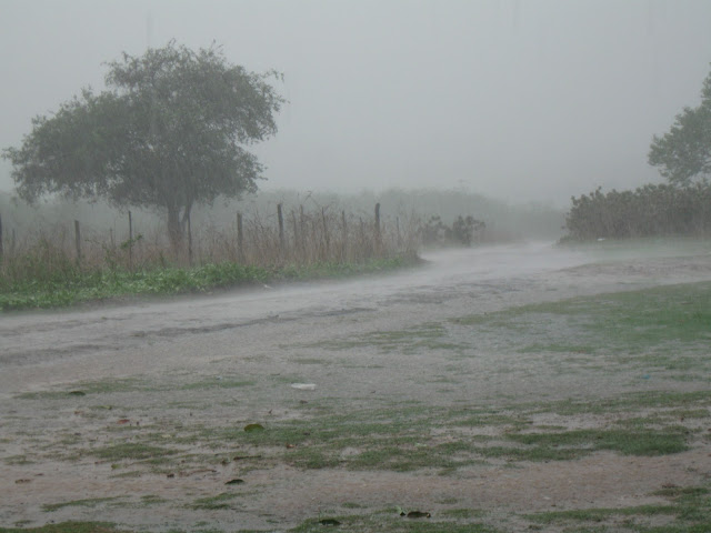 Resultado de imagem para Novembro inicia com perspectiva de chuvas pelo Nordeste