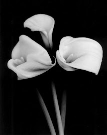 My favorite flower