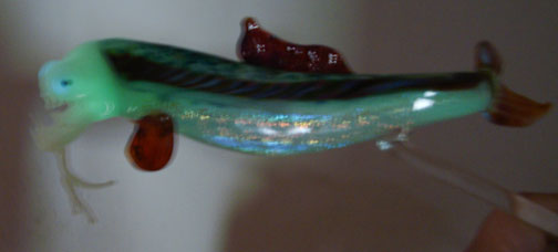 [viperfish-colors-(1-of-1).jpg]