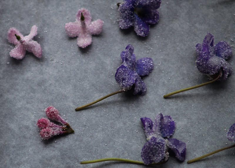 Aubergine, Sweet & Green Candied Lilac and Violets