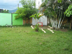 alrededores