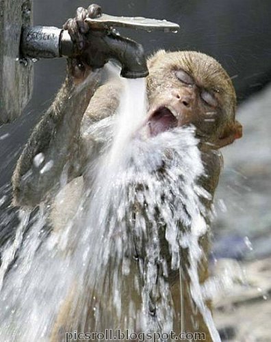 [thumbs_water_10.jpg]