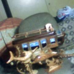 Diligenza-pesce spada-delfino