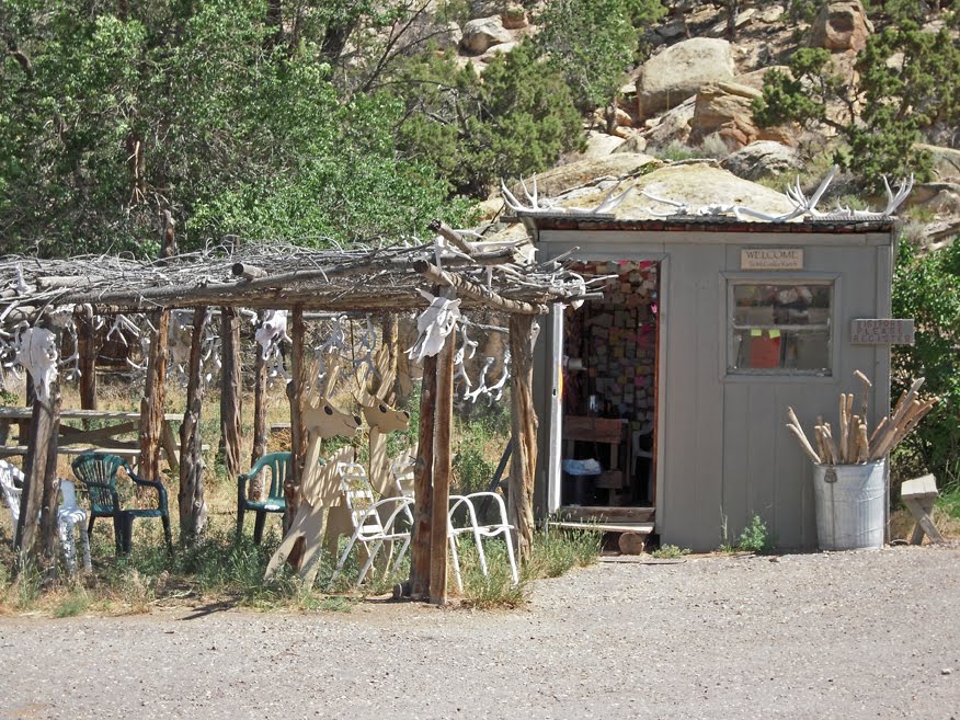 Offroading Home Dry Fork Canyon Petroglyphs