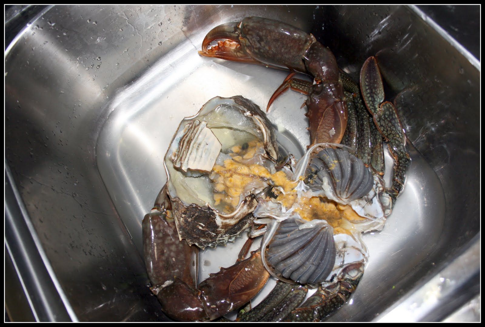 The Cook and The Fitter Chilli Mud Crab