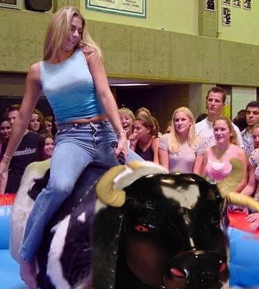 Project Meaning: Anatomy of a Mechanical Bull Ride