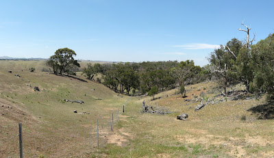 The "track" to Ingliston Granites (just follow the fence) The "track" to Ingliston Granites (just follow the fence) - Werribee Gorge State Park