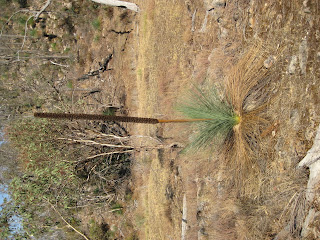 Friends Track - Warby Range State Park - Wangaratta - Victoria Friends Track - Warby Range State Park - Wangaratta - Victoria