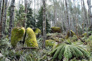 Mushroom Rocks - Baw Baw National Park - Rawson - Victoria