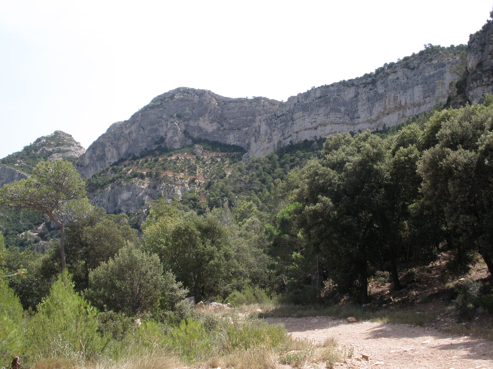 Franclips: PRAT DE COMTE. TOSSAL D´ENGRILLÓ. TERRA ALTA. Els Ports Tortosa  - Besseit. En BTT.