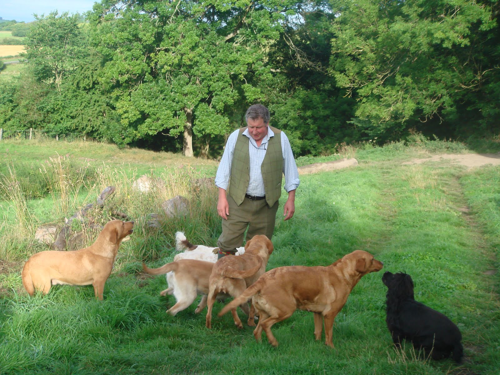 Cuckavalda Gundogs North Yorkshire The Glorious twelfth
