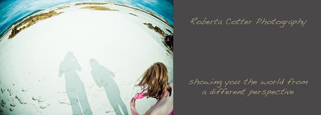 Roberta Cotter Photography