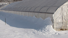 Snow Insulation
