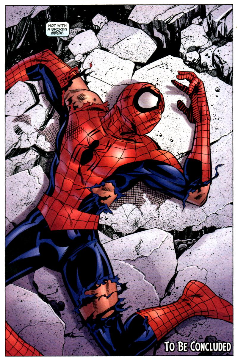 Peter Parker: Spider-Man Issue #31 #34 - English 24