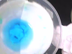 dissolving the solid Cupric phosphate