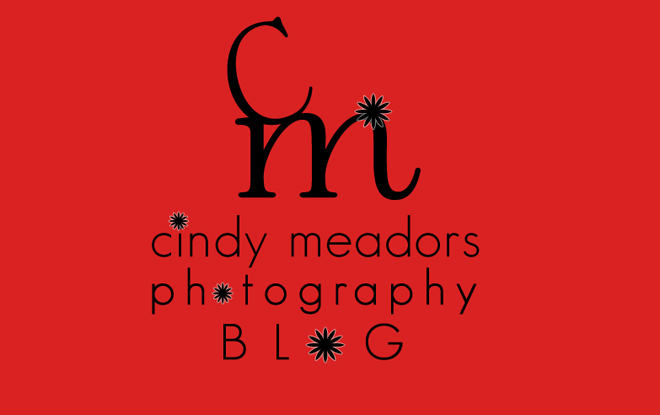 Cindy Meadors Photography