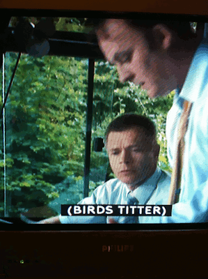 Birds titter